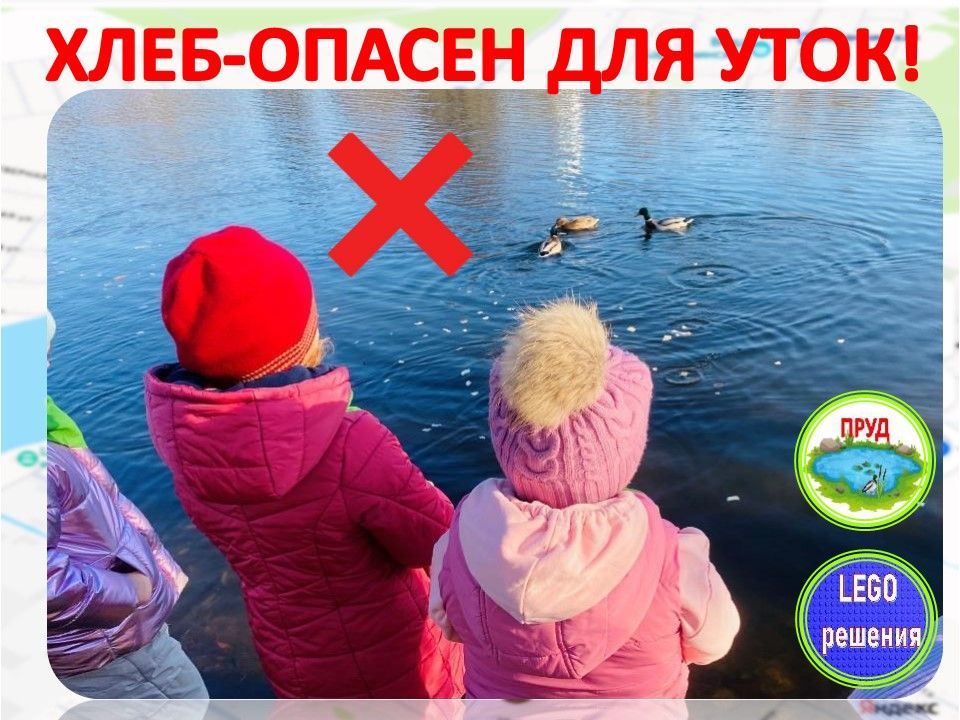 Слайд10.jpg