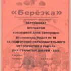 сертификат за подготовку мероприятия в рамках дня открытых дверей.jpg