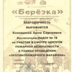 Благодарность за участие в смотре-конкурсе Пожарная безопасность.jpg