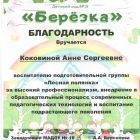 Благодарность за высокий профессионализм.jpg